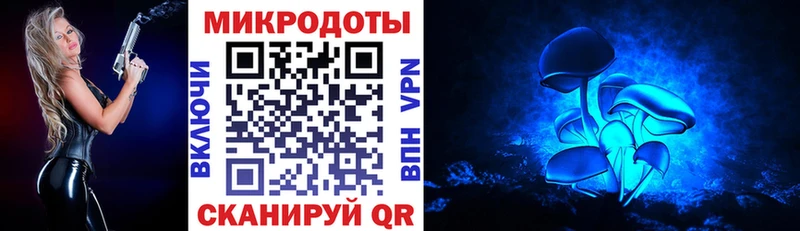 Купить где  Тында  Галлюциногенные грибы Psilocybine cubensis 
