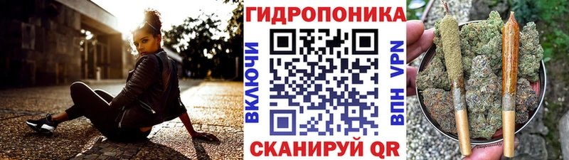 Канабис VHQ  Купить закладки  Тында 